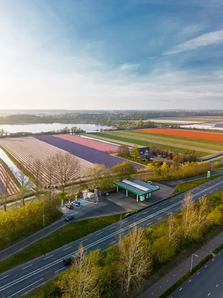 Hollanda kırsalının hava panoramik manzarasında tarım arazileri, yeşil tarlalar, ormanlar ve uzak bir kasabaya doğru uzanan bir otoyol var..