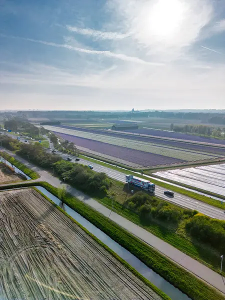 Hollanda kırsalının hava panoramik manzarasında tarım arazileri, yeşil tarlalar, ormanlar ve uzak bir kasabaya doğru uzanan bir otoyol var..