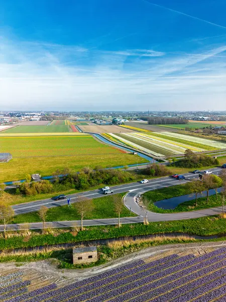 Hollanda kırsalının hava panoramik manzarasında tarım arazileri, yeşil tarlalar, ormanlar ve uzak bir kasabaya doğru uzanan bir otoyol var..
