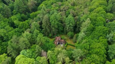Ormanın derinliklerinde, yemyeşil ağaçlar ve doğa ile çevrili huzurlu bir ev. İnsansız hava aracı evi, bahçeyi ve havuzu tepeden tırnağa görüntüler..