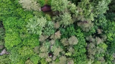 Ormanın derinliklerinde, yemyeşil ağaçlar ve doğa ile çevrili huzurlu bir ev. İnsansız hava aracı evi, bahçeyi ve havuzu tepeden tırnağa görüntüler..