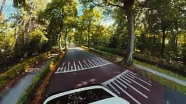 Kırsal alanda ağaçlarla kaplı yol hız sınırı işareti, ayrı bisiklet şeridi ve cadde boyunca uzanan küçük bir kanal..