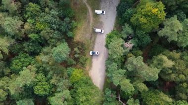 İki kıvrımlı asfalt yolu ve seyrek trafiği olan bir orman manzarası. Yoğun yeşil gölgelik altyapıyı çevreleyerek, doğa ve insan erişim yolları arasındaki zıtlığı vurguluyor..