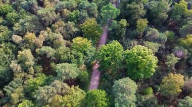 İki kıvrımlı asfalt yolu ve seyrek trafiği olan bir orman manzarası. Yoğun yeşil gölgelik altyapıyı çevreleyerek, doğa ve insan erişim yolları arasındaki zıtlığı vurguluyor..