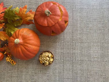 Balkabağı ve balkabağı tohumları ve çuval bezine dökülen yapraklar