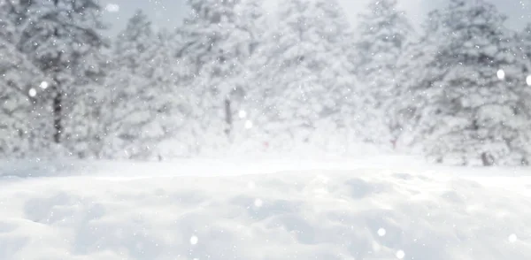 Winter background. Forest Landscape, snowy field and snow flakes falling. Copy Space. Chritmas, holiday season  template. 3d rende
