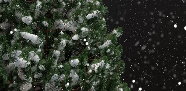 Ośnieżone Gałęzie Drzew Mroźna Zima Opady Śniegu Lesie Nocy Świąteczny — Zdjęcie stockowe