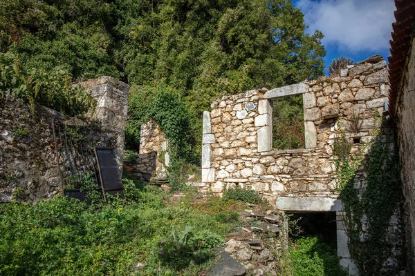 Ερειπωμένη Πρόσοψη Εγκαταλειμμένου Κτιρίου Κατεστραμμένο Πέτρινο Σπίτι Δάσος Δέντρο Πλούσια — Φωτογραφία Αρχείου