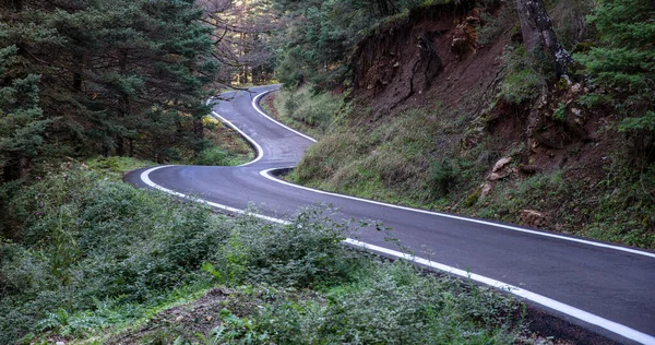 Carretera Serpenteante Cruzando Bosque Abeto Ruta Vacía Asfalto Viajar Por — Foto de Stock