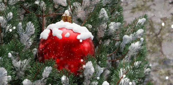 Árbol Cubierto Nieve Navidad Bola Roja Cerca Temporada Invierno Frío — Foto de Stock