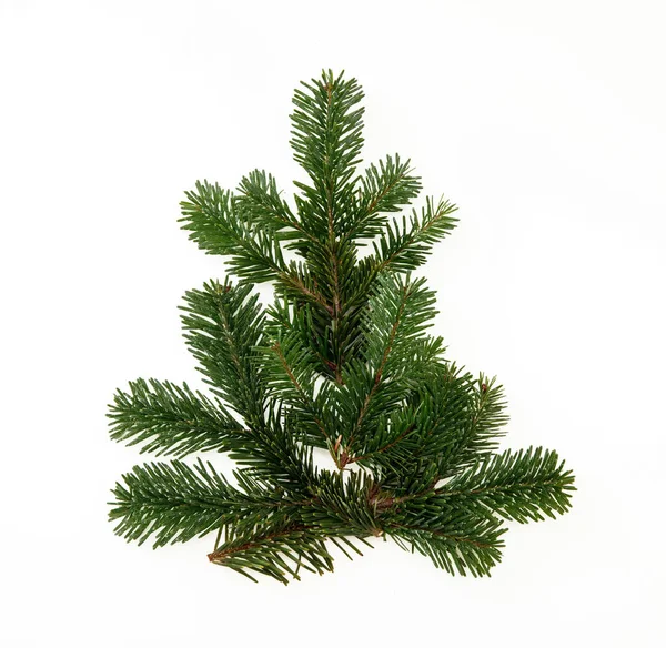 Árvore Natal Isolado Fundo Branco Fir Galho Forma Árvore Natal — Fotografia de Stock