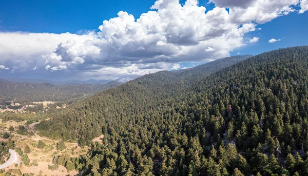 Paysage Forêt Sapins Parnassos Montagne Panoramique Vue Aérienne Sur Drone — Photo