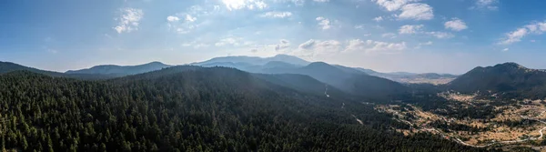 Tannenwald Landschaft Parnassos Berg Weites Panorama Luftaufnahme Drohne Blauer Bewölkter — Stockfoto