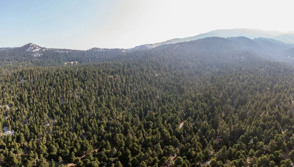 Paysage Forêt Sapins Parnassos Montagne Vue Aérienne Sur Drone Ciel — Photo