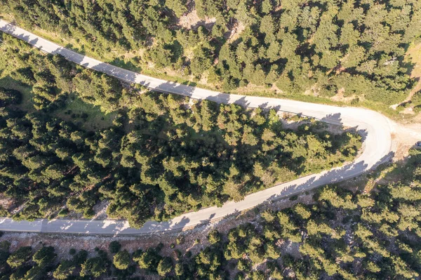 stock image Winding road crossing fir forest, sunny day. Aerial drone view. Empty asphalt road curve and spruce trees