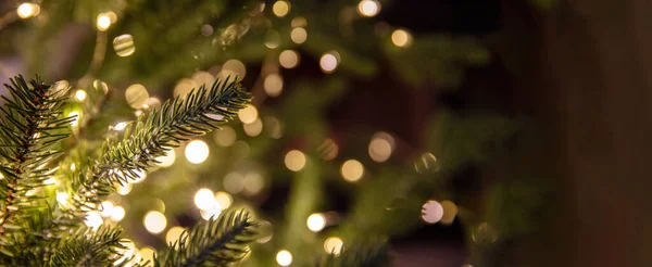 Sztandar Świąteczny Świąteczna Choinka Światła Zbliżają Widok Przestrzeń Kopiowania Szablon — Zdjęcie stockowe