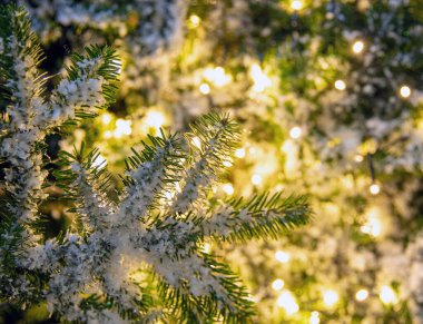 Karlı Noel ağacı ve Xmas ışıkları dekorasyonu kapatın, boşluğu kopyalayın. Kış tatili kartı şablonu