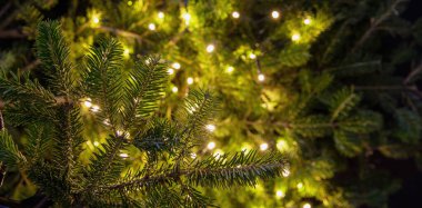 Noel ağacı ve Xmas Bokeh ışıkları dekorasyonu kapatın, boşluğu kopyalayın. Kış tatili kartı şablonu, afiş.