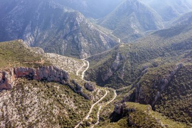 Köknar ormanlarını geçen dolambaçlı bir yol, güneşli bir gün. Hava aracı görünümü