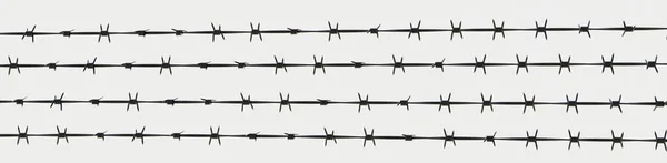 Four barbed wires isolated on white, Steel metal fence wires, safety and protection concept, banner. 3d render