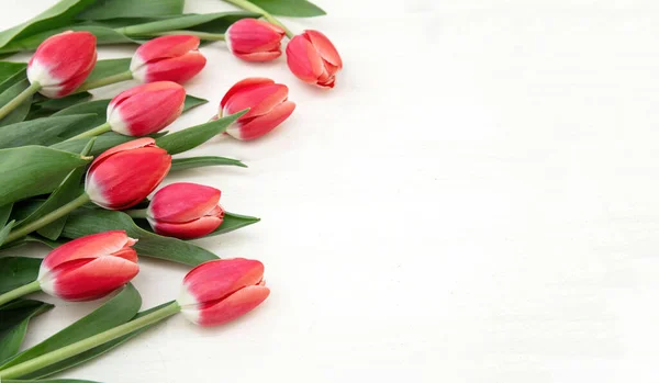 Tulipa Buquê Flores Cor Vermelha Fundo Madeira Branco Espaço Cópia — Fotografia de Stock