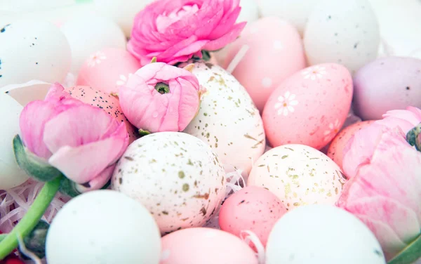 Cor Pastel Ovos Páscoa Borboletas Rosa Fundo Flor Cartão Felicitações — Fotografia de Stock