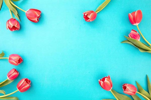 Квітка Тюльпанів Рожево Червоного Кольору Синьому Фоні Копіює Простір Жінка — стокове фото