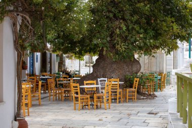 Yunanistan. Tinos Adası Cyclades. Pyrgos köyündeki açık hava geleneksel kafesi. Kocaman bir ağacın altında boş sandalyeler ve masalar