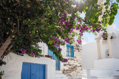 Yunanistan. Tinos sanat adası, Pyrgos köyündeki Cycladic mimarisi, begonvillea beyazlatılmış duvar, mavi kapı ve pencereler, güneşli gün.
