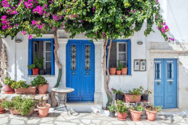 Yunanistan. Tinos sanat adası, Pyrgos köyündeki Cycladic mimarisi, begonvillea beyazlatılmış duvar, mavi kapı ve pencereler, güneşli gün.