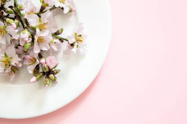 イースターテーブルの装飾 白いプレート上のアーモンドの花 ピンクの色の背景 コピースペース — ストック写真