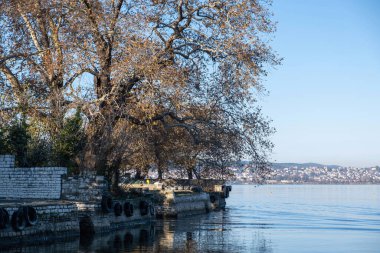 Yunanistan, Ioannina şehri Pamvotis Gölü, Epirus. Ali Paşa adasından Giannena manzarası, kış mevsimi nisaki limanı, eski ağaç, mavi gökyüzü arka planı.