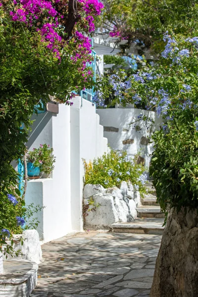 Tinos Île Grèce Architecture Cycladique Village Volax Ruelle Pavée Bougainvilliers — Photo