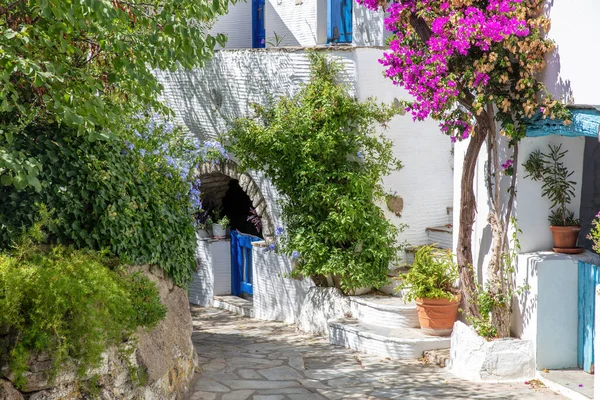 Insel Tinos Griechenland Kykladische Architektur Dorf Volax Gepflasterte Gasse Rosa — Stockfoto