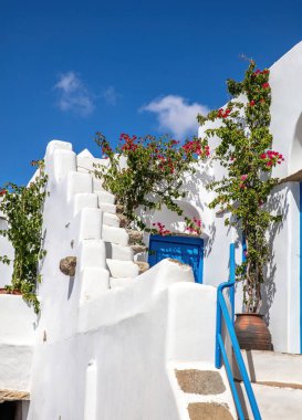 Cyclades adasının dış merdiveni beyaz duvarla çatıya ve Yunan cennetine giden merdivenler arasında, basamağında pembe bougainvillea olan bir kap. Dikey
