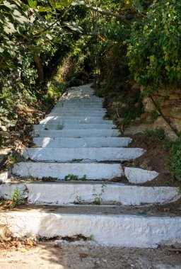 Bitki duvarları arasında beyaz, eski, dar, taş bir merdiven var. Cyclades Adası yaz güneşli bir gün, Yunanistan. Dikey