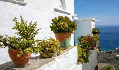 Yunanistan 'ın Cyclades adası mimarisi, beyaz, yaşlı bina duvarına saksı çiçeği. Sakin deniz, mavi gökyüzü arka planı. Güneşli bir gün, seyahat yeri..