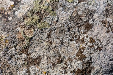 Eski alçı, gri, kahverengi duvar arkaplan dokusu. Soyulmuş eski soluk taş duvar yapısı, arkaplan için boş vintage yüzey. Boşluğu kopyala.