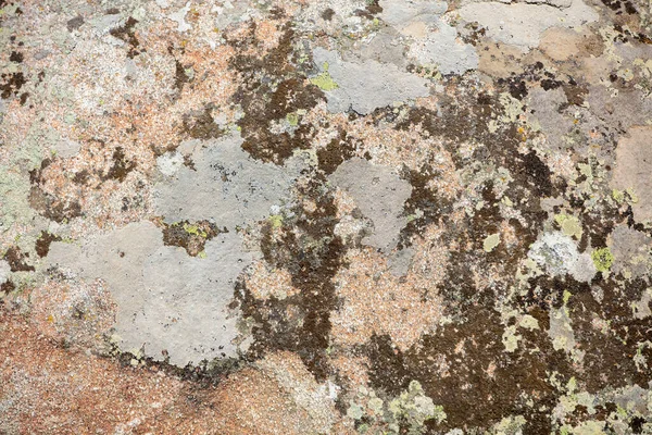 Antiguo Yeso Gris Marrón Textura Fondo Pared Estructura Pared Piedra —  Fotos de Stock