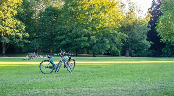 stock image People relaxing after sport on grass at park in Rotterdam destination Netherlands. Sunny day, nature, tree, bike parked on green field. 