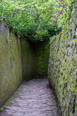 Almanya, Heidelberg 'de Filozof Yürüyüşü veya Felsefe. Lichen Filozof Sokağı ile taş duvar arasındaki yol, Dünya Cazibesi.