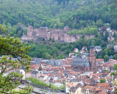 Almanya, Heidelberg geleneksel şehri ve Schloss Heidelberg 'in hava manzarası, yeşil tepedeki saray şatosu, doğa arka planı..