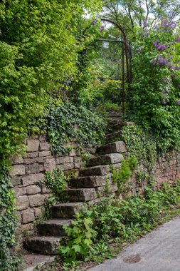 Dar taş merdivenli taş duvar kapalı metal kapıya, doğaya giriş, yeşil bitki arka planına gidiyor. Almanya, Heidelberg