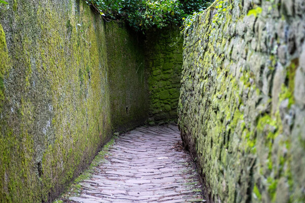Germany, Philosopher Walk in Heidelberg city or Philosophenweg. Stone path between stonewall with lichen Philosopher Street, World Attraction.