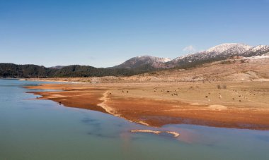 Yunanistan, Aoos Springs Gölü, Epirus. Yapay göl kıyısındaki vahşi at sürüsünün hava aracı görüntüsü. Karlı Pindus dağ zirvesi arka planı.