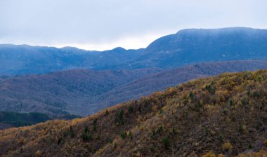 Yunanistan Pindos sisli dağ sırası. Kışın kuru ağaçlarla dağların oluşumunun panoramik görüntüsü, Pindus 'in karlı zirvesi, doğada macera..