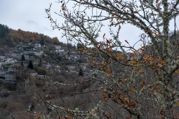 Греція Кіпой Загорія Епір Зимовий День Вид Розмиті Традиційні Побудовані — стокове фото