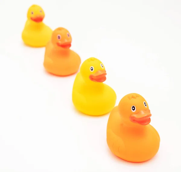Rubber ducks in a row isolated on white background, above view, Baby bath fun toy.