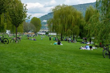 Almanya, Heidelberg şehri. Neckar Nehri 'nin yanındaki Neckarwiese Bahçesi' nde yeşil çimlerde dinlenen insanlar günün tadını çıkarıyorlar. Doğada park edilmiş bisiklet.