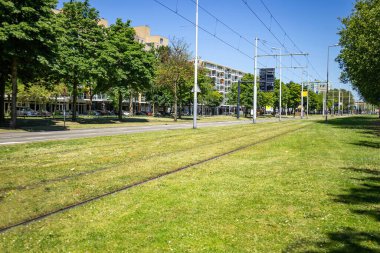 Tramvay pisti. Çimlerle kaplı boş bir tramvay. Şehir, bina, ağaç, mavi gökyüzü arka planı, güneşli bir gün..